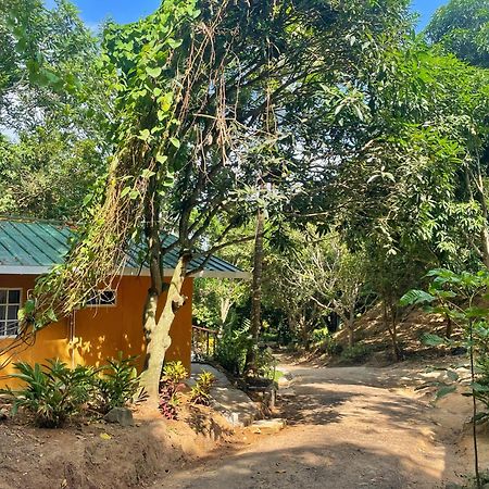 Hotel La Casablanca Tayrona Calabazo  エクステリア 写真