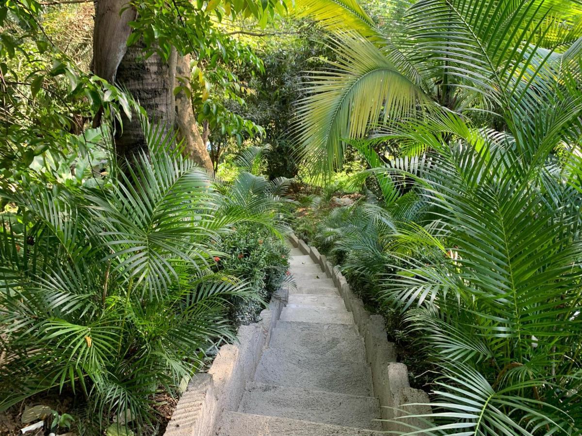 Hotel La Casablanca Tayrona Calabazo  エクステリア 写真