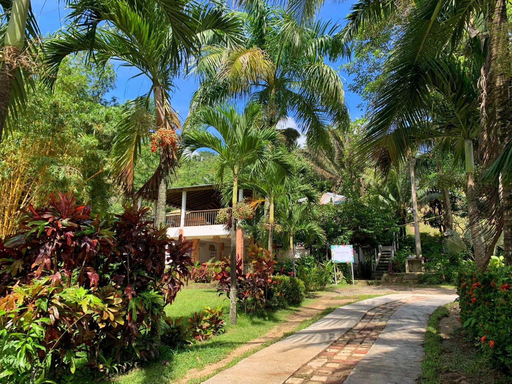 Hotel La Casablanca Tayrona Calabazo  エクステリア 写真