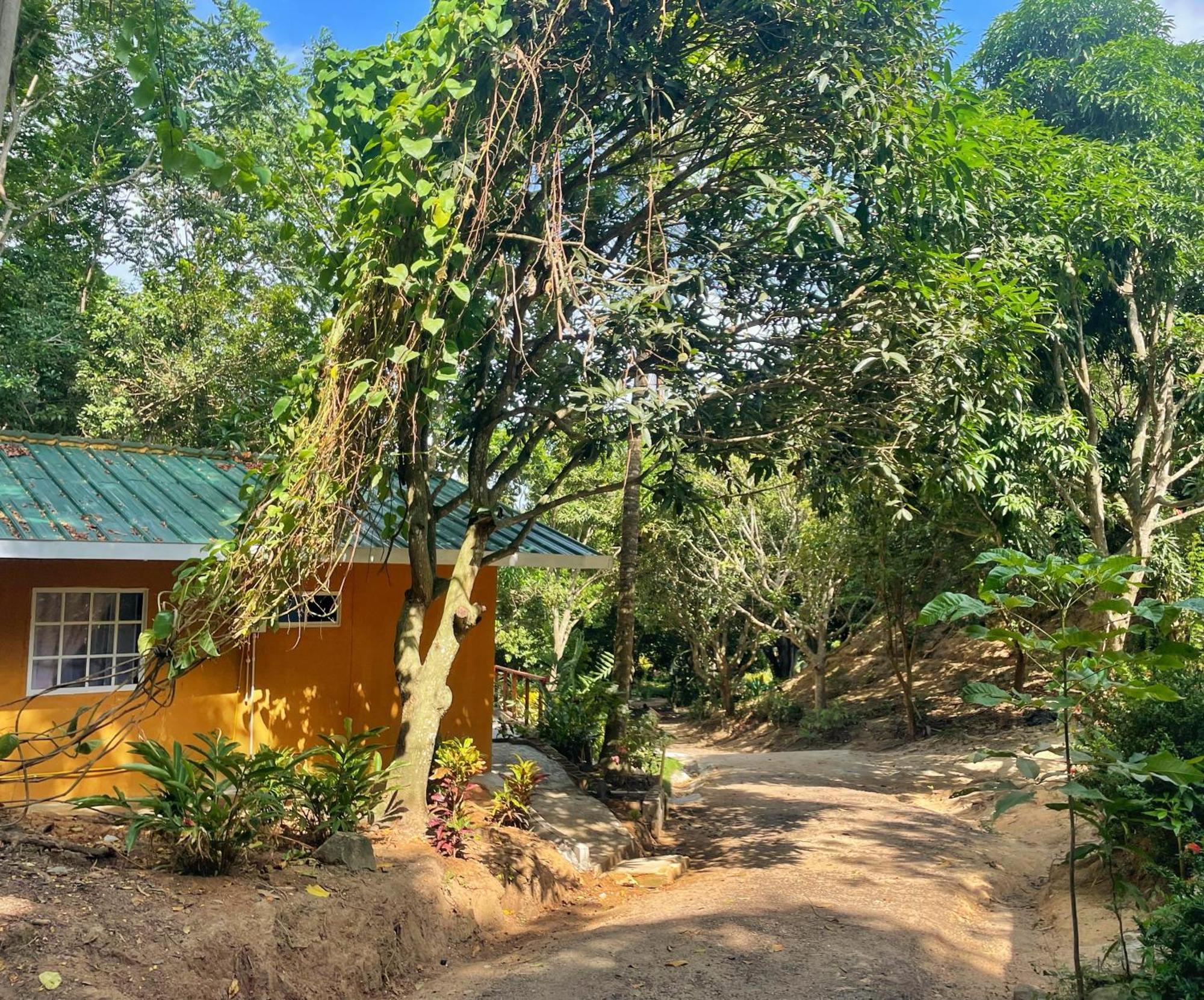 Hotel La Casablanca Tayrona Calabazo  エクステリア 写真